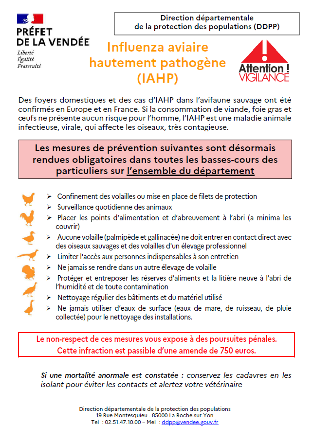 flyer prévention
