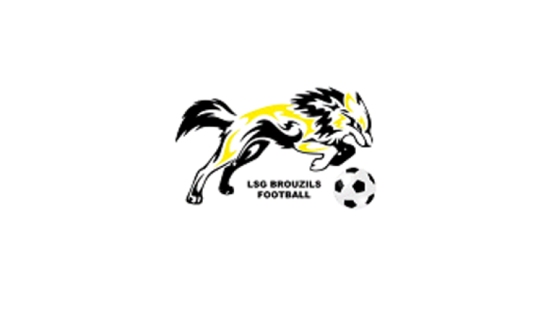 logo LSGB