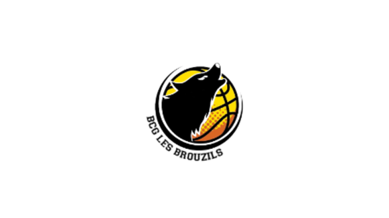 logo BCG