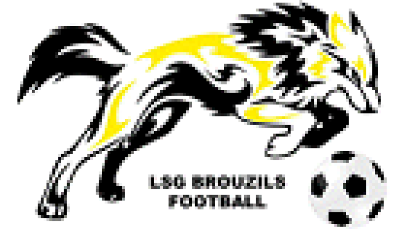 logo LSGB