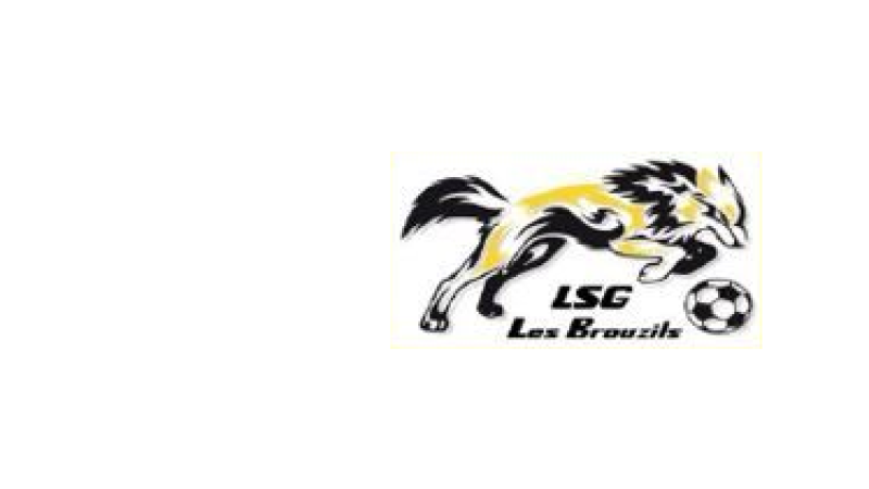 logo LSGB
