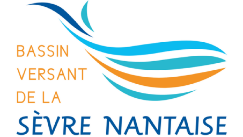 logo BVSN