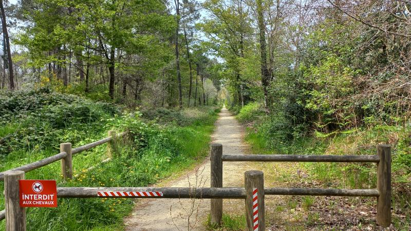 Sentier randonnée