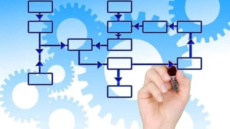 Organigramme des services
