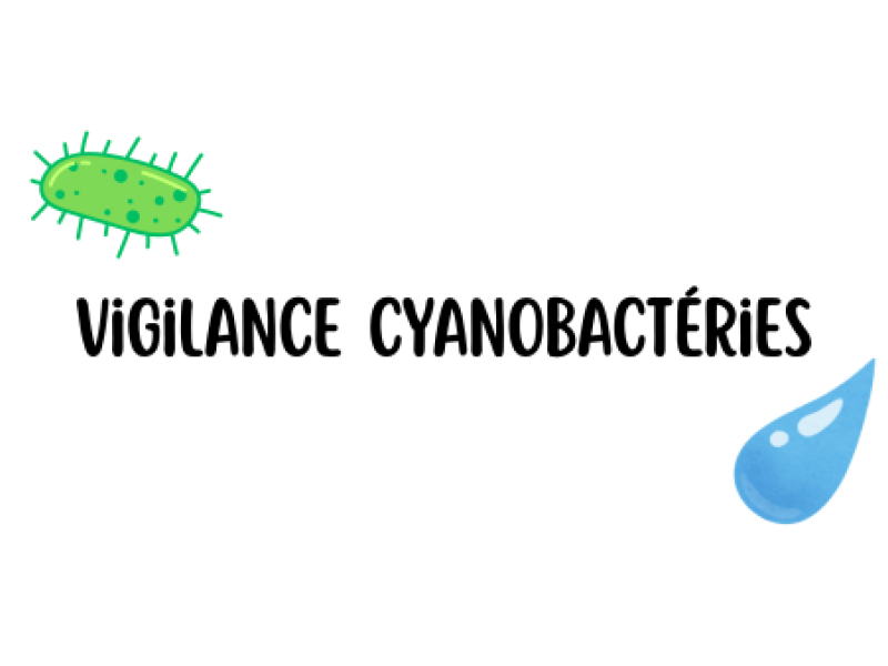 Vigilance cyanobactéries